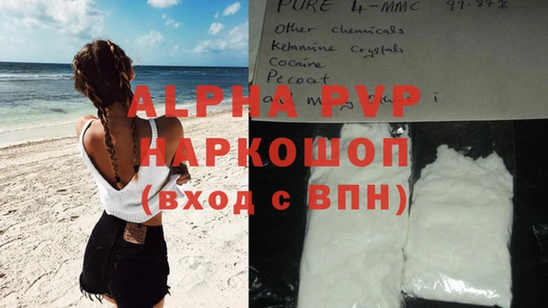 прущие грибы Лабытнанги
